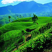 Nature of Sri Lanka