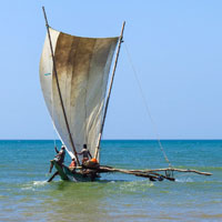 Wildlife of Sri Lanka