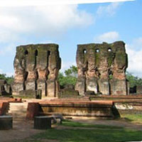 Wildlife of Sri Lanka